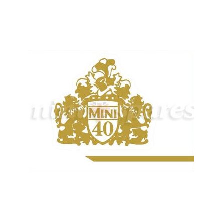 Zestaw naklejek do Mini Classic 40 LE, złote
