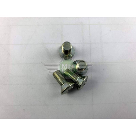 Śruba do zawiasów i zaczepu na słupku B (Mk3)
