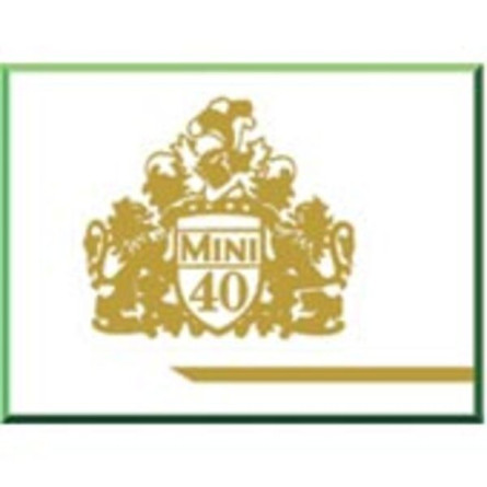 Paski boczne - zestaw Mini 40LE niebieskie
