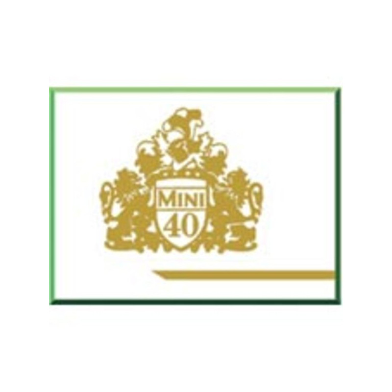 Paski boczne - zestaw Mini 40LE zielone