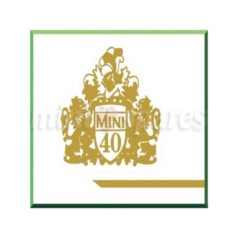 Zestaw naklejek do Mini Classic 40 LE, złote