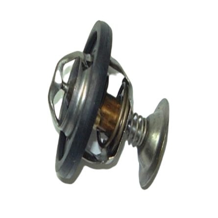 Termostat Defender / Discovery 300 TDI