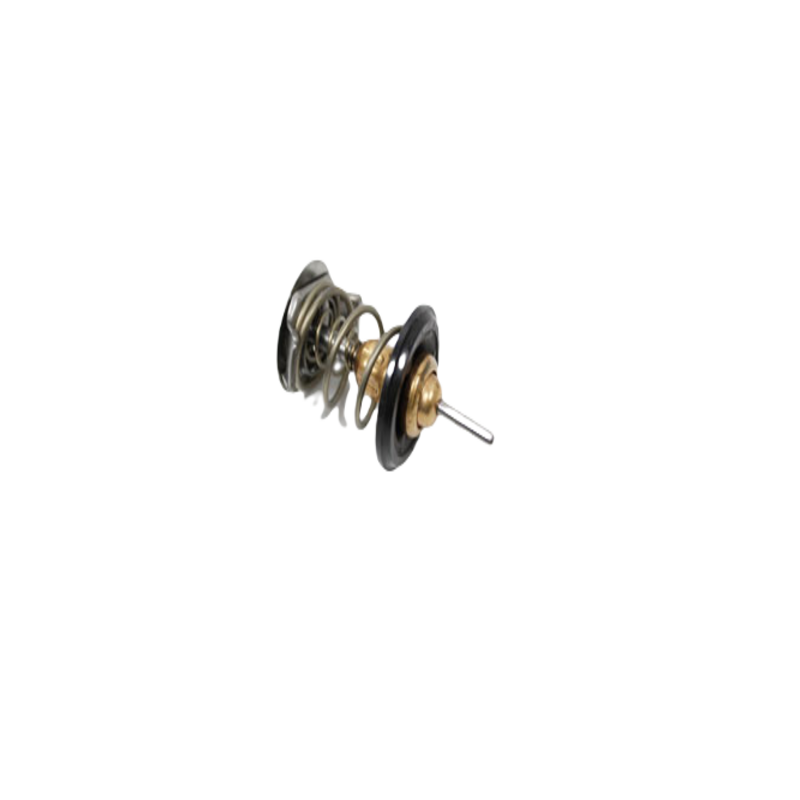 Termostat Freelander 2,0 diesel