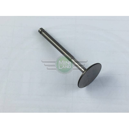 Zawór ssący - Long Stem Race